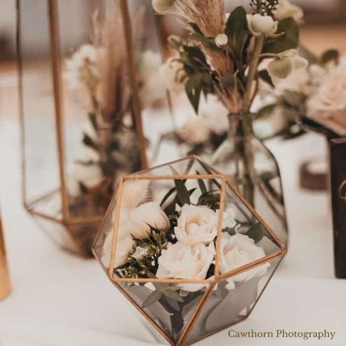 terrarium-c-700x700
