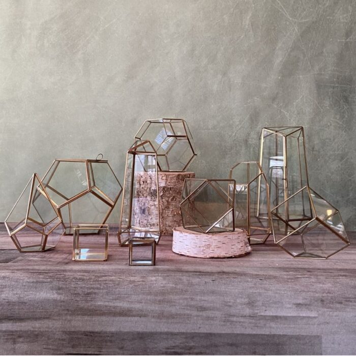 terrarium-collection-b-700x700